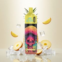JNR Alien 10000 Puffs Engangs Vape med Ananas Is og 20ml E-væske