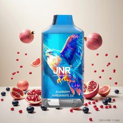 JNR Falcon 16000 Puffs Engangs Vape Blåbær Granate Is med 22ml E-væske og Smart LED-skjerm