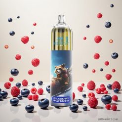 JNR Rocket-X 12400 Puffs Engangsvape med Blåbær Bringebær og Justerbar Luftstrøm