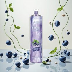 JNR Shisha Hookah 12000 Puffs Blåbær Mynte – 24ml e-væske, 750mAh batteri