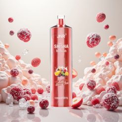 JNR Shisha Hookah 12000 Puffs Engangs Vape Bær Is med 24ml e-væske
