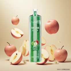 JNR Shisha Hookah 12000 Puffs Engangs Vape Dobbel Eple – 24ml Kapasitet