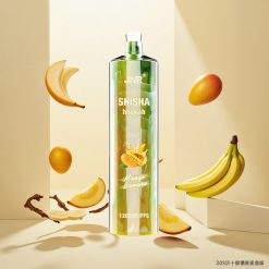 JNR Shisha Hookah 12000 Puffs Engangs Vape Mango Banan 24ml 750mAh