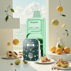 JNR VapeWatch 30000 Puffs Engangs E-sigarett Miami Mynte – 19mL væske, 1000mAh batteri