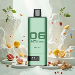 Lavie Cube 20000 Puffs Engangs Vape Mynteis med 28ML væske og 600mAh batteri
