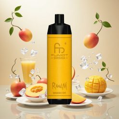 RandM Fumot Shisha 10000 Puffs Engangs Vape Mango Is med 18ml e-væske og 850 mAh batteri