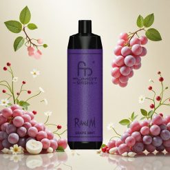 RandM Fumot Shisha 10000 Puffs Engangs Vape med 0,5% Nikotin og Drue Mynte