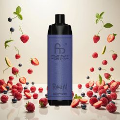 RandM Fumot Shisha 10000 Puffs Engangs Vape med 18ml E-væske og Bær Mynte