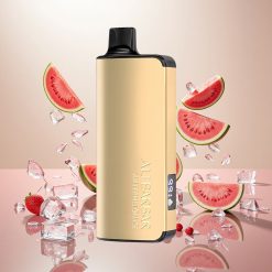 Alibarbar Ingot 9000 Puffs Engangsdamper Vannmelon Is med 2350mAh Batteri