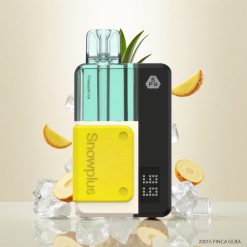 Snowplus Swift Pod Kit 15000 Puffs – 1000 mAh batteri & 2+10 ml tank – Ananas Is