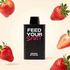 FEED 9K Pod Bær i 6ix – 9000 trekk, 18 ml